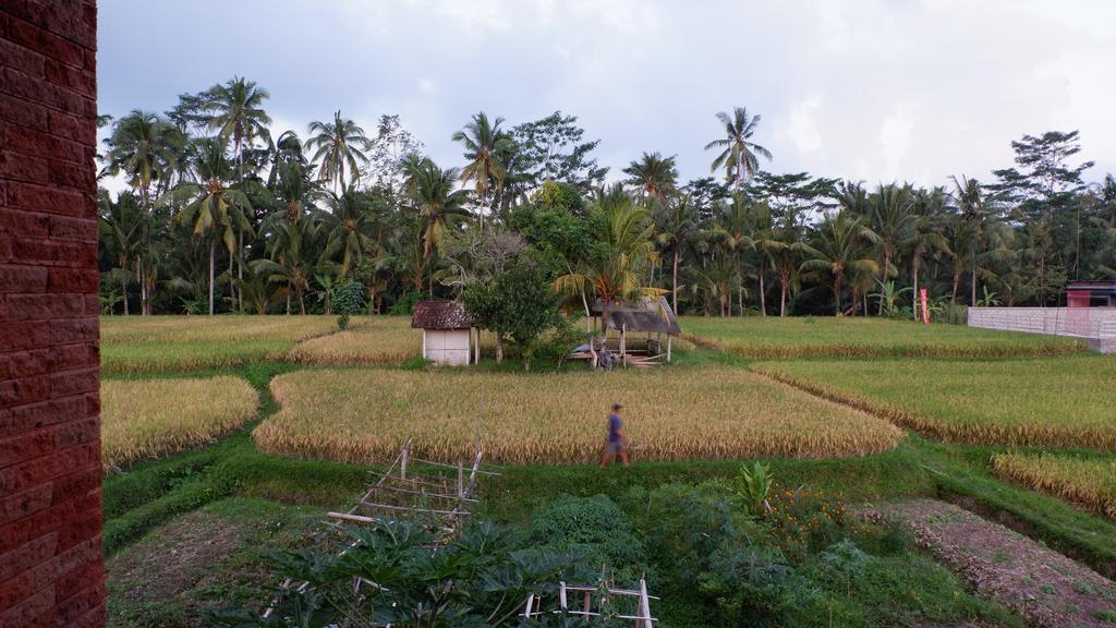 Wayan Garden Ubud Exterior foto